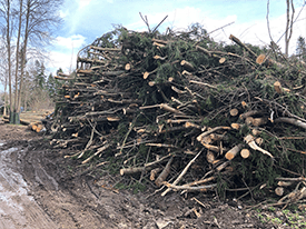 log pile