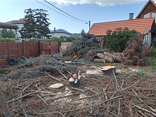 timber scene